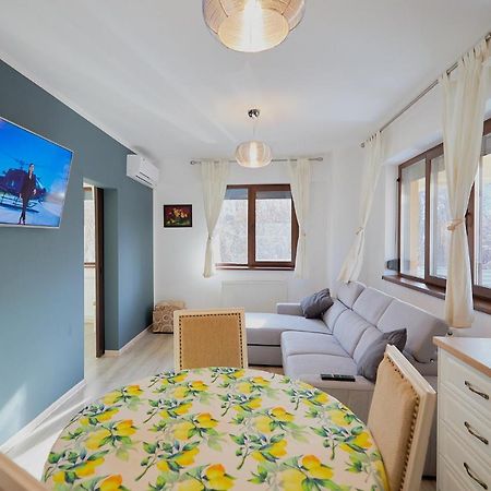 Alessandro Home 2 Luxury Centru Palas Mall Iasi Moldovei 30 외부 사진